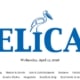 The New Pelican publication masthead and logo